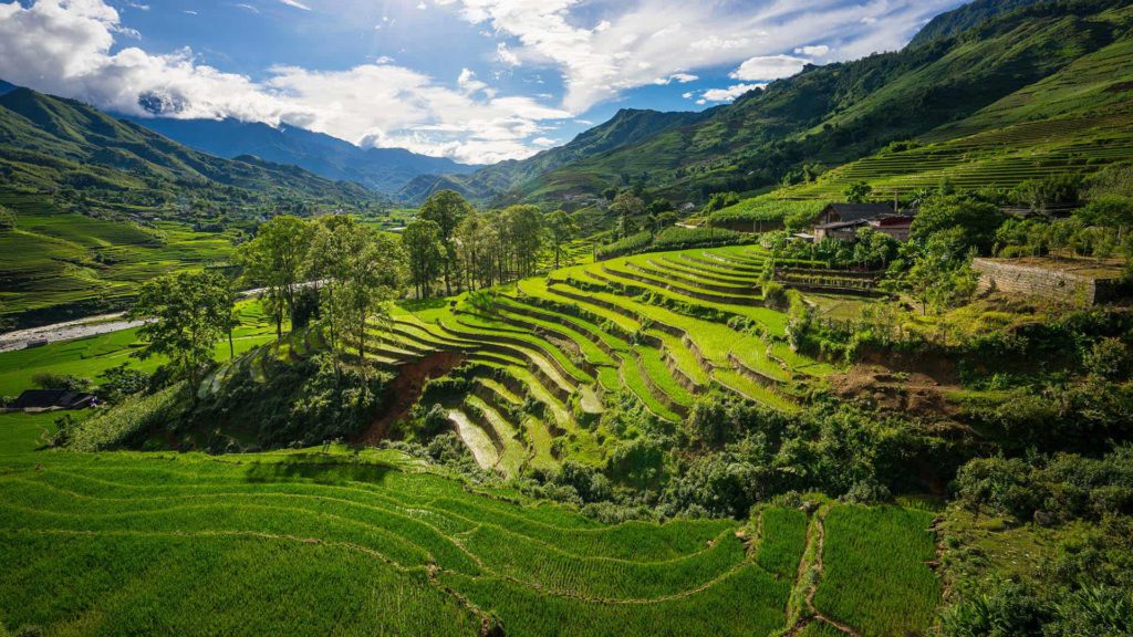 Ihre Reise geht nach Vietnam
